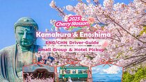 Tokyo: Bus Tour to Kamakura Great Buddha & Enoshima with Pickup