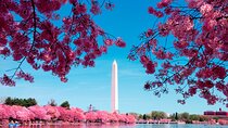 Morning Monuments City Tour with Washington Monument Ticket