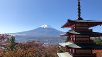 Mount Fuji Panoramic View and Shopping Day Tour from Shinjuku