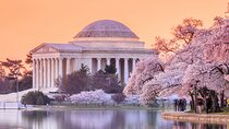 DC City Tour + Washington Monument, Air & Space, African American