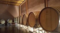 Volterra wines, sensory emotions of organic farming