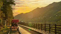Nami Island One Day Trip with Gangchon Rail Bike from Seoul