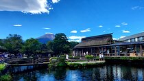 Mt. Fuji & Hakone Customizable Tour for 9 people 