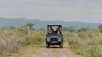 1-Day Mikumi National Park Fly-In Safari from Zanzibar