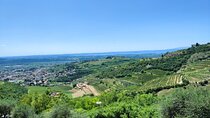 A Sunday of Amarone A Half day wine tour