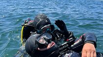 Diving in Pichidangui and Los Molles
