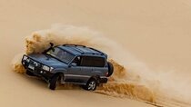 Overnight Desert Safari, Camel Ride, Sand Board, Valley of Whales