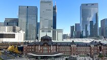 Tour to get to know a bit of all Tokyo with a guide in Spanish
