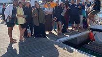 2 Days Diving Package 4 Dives from the Boat