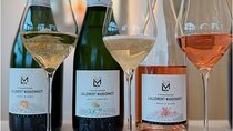 Vineyard and Triple Tasting First Cru in the Mountains of Reims 