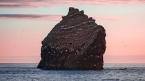 Wonders of the Reykjanes Peninsula