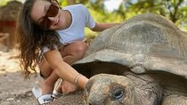 Zanzibar Stone Town and Prison Island Tour with Local Guide
