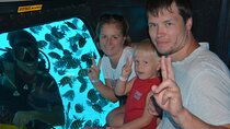 Enjoy a 2 Hours Semi Submarine & Snorkeling Trip - Marsa Alam