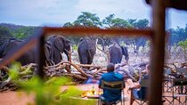 6 Nights Hwange National Park, Victoria Falls & Chobe National Park Package