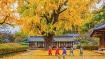 Private Jeonju Hanok Village - Culinary tour