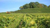 Transfer from Paris to Reims and Epernay Vice Versa One way