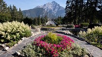 Banff History Tour and Private Museum Tours - Entry Included