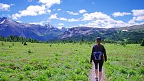 Banff: Private Guided Nature Walk - 2H