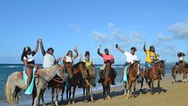Beach Horseback Ride Tour in Puerto Plata - Scenic & Fun for All