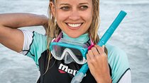 Snorkeling Experience at Catalina islands 