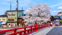 Private Guided Tour from Nagoya to Takayama and Shirakawa-go 