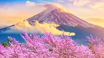 Mt. Fuji & Hakone Fully customizable Day Tour With English Driver