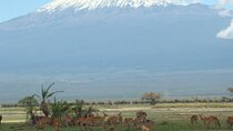 7 Days Nairobi to Mombasa Beach Holiday and Game Drive Safari