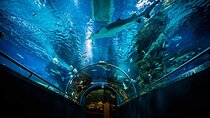 Budapest Tropicarium