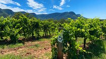 PRIVATE Hunter Valley All-Incl Premium Wine Tasting Tour (10 hrs)