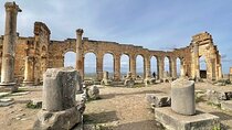 Experience Meknes and Volubilis in a Day from Fez 