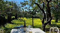 Sorrento: Cooking with a Local Chef & Wine Pairing by the Sea 