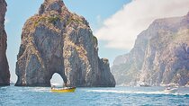 Boat Tour of Capri and Tour of the Island by Sea