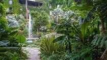 Tour Gardens La Mortella