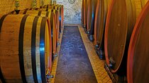  Mount Etna Tour with 2 Wineries Experience from Taormina