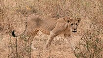 Day Trip Tarangire National Park