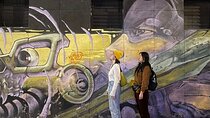 Mexico City Private Street Art Tour 