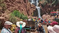 Discover Ouzoud Waterfalls on a Day Trip from Marrakech
