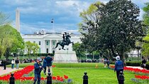 VIP Private Tour of Washington DC