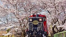 Arashiyama Sagano Romantic Train，Fushimi Inari Taisha & Nara Park
