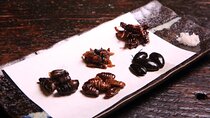 Restaurants in Tokyo Where You Can Eat Exotic Food