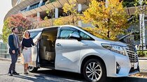 Private Roundtrip Airport Transfer to Resorts in Montego Bay