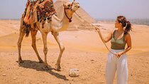  Giza pyramids Tour and Sphinx from Cairo/Giza hotel