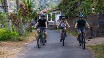 Bali Bike Tour Ubud Area