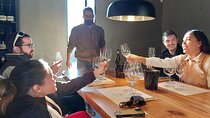 Private Wine tasting in Penedes