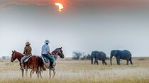 5 Days Tanzania Exclusive Luxury Lodge Safari