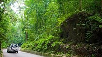 Ocho Rios Highlights and Shopping Tour