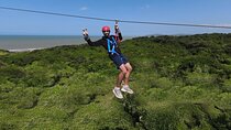 Zipline Canopy Adventure by the Ocean in Cartagena