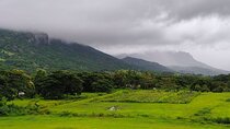 Private Tour: Best of Nadi Highlights 