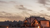 Camel Ride and Sunset Dinner in Agafay Desert
