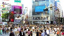 Tokyo Highlight Private Tour by Car with English Speaking Driver 